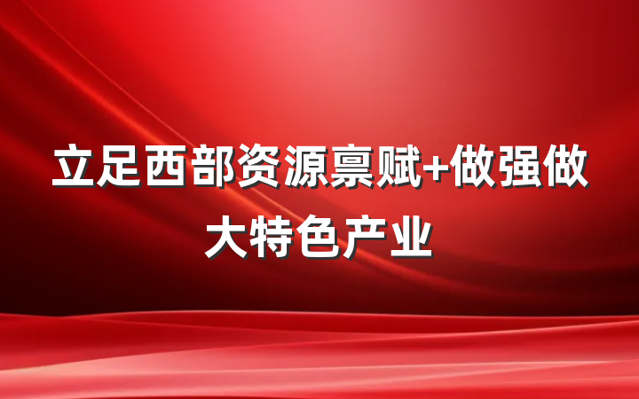 立足西部资源禀赋 做强做大特色产业