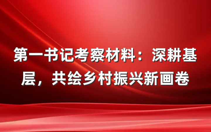 第一书记考察材料：深耕基层，共绘乡村振兴新画卷