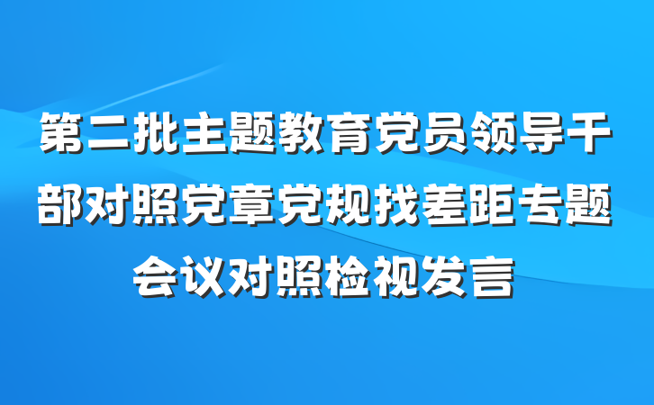 第二批主题教育党员领导干部对照党章党规找差距专题会议对照检视发言