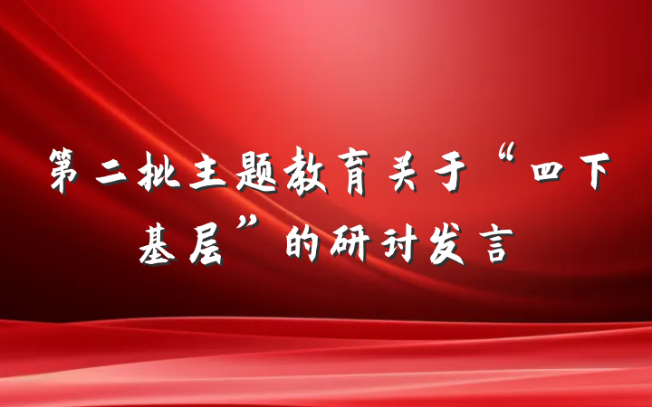 第二批主题教育关于“四下基层”的研讨发言
