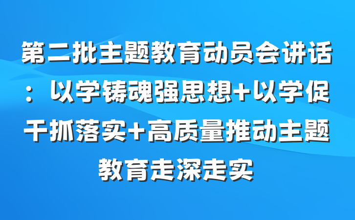 第二批主题教育动员会讲话：以学铸魂强思想 以学促干抓落实 高质量推动主题教育走深走实