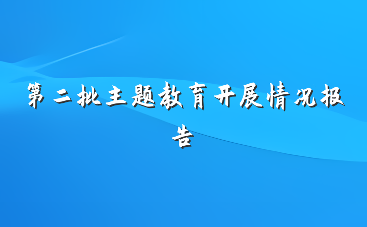 第二批主题教育开展情况报告