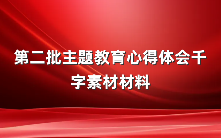 第二批主题教育心得体会千字素材材料