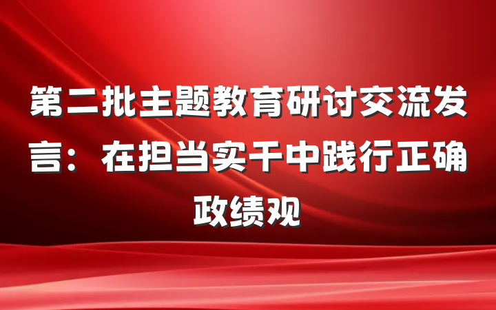 第二批主题教育研讨交流发言：在担当实干中践行正确政绩观