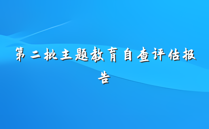 第二批主题教育自查评估报告