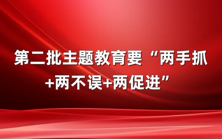 第二批主题教育要“两手抓 两不误 两促进”