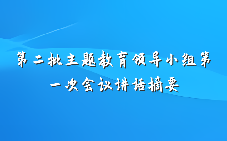 第二批主题教育领导小组第一次会议讲话摘要