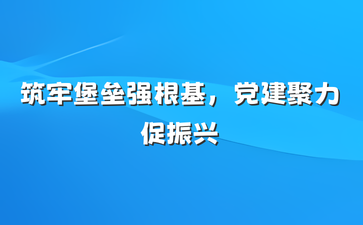 筑牢堡垒强根基，党建聚力促振兴