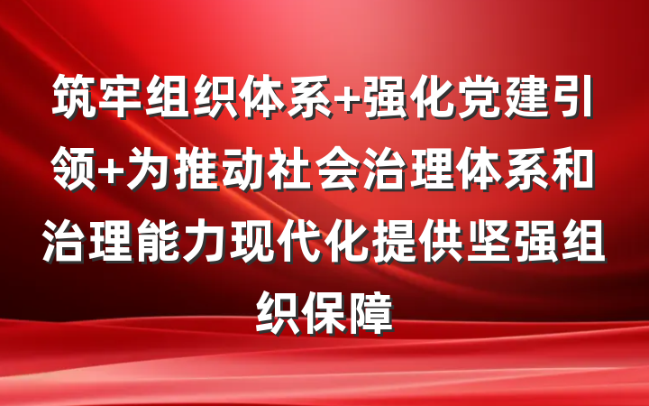 筑牢组织体系 强化党建引领 为推动社会治理体系和治理能力现代化提供坚强组织保障
