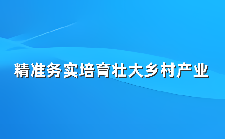 精准务实培育壮大乡村产业