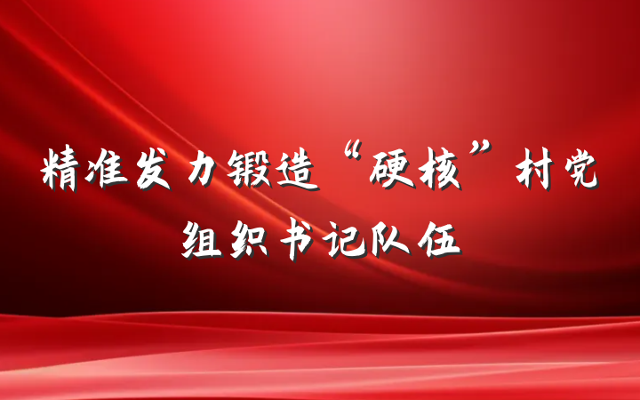 精准发力锻造“硬核”村党组织书记队伍