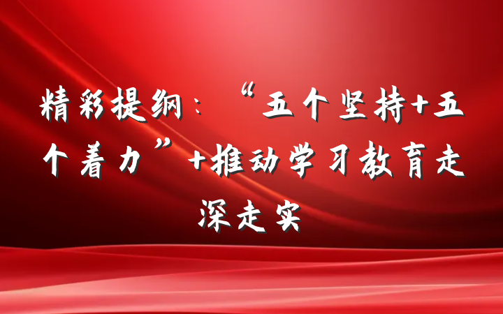 精彩提纲：“五个坚持 五个着力” 推动学习教育走深走实