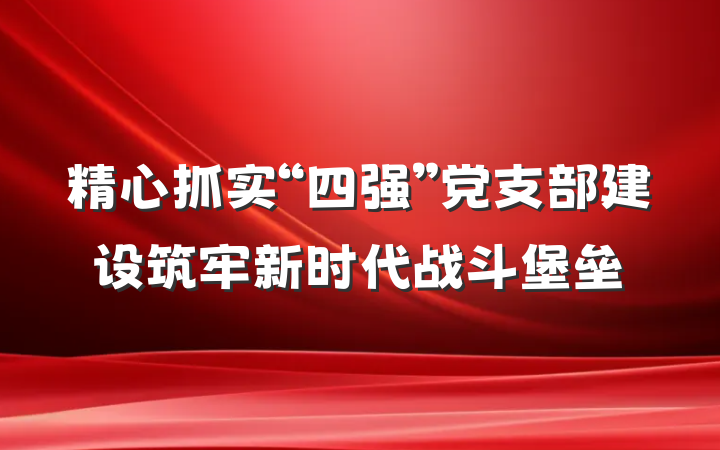 精心抓实“四强”党支部建设筑牢新时代战斗堡垒
