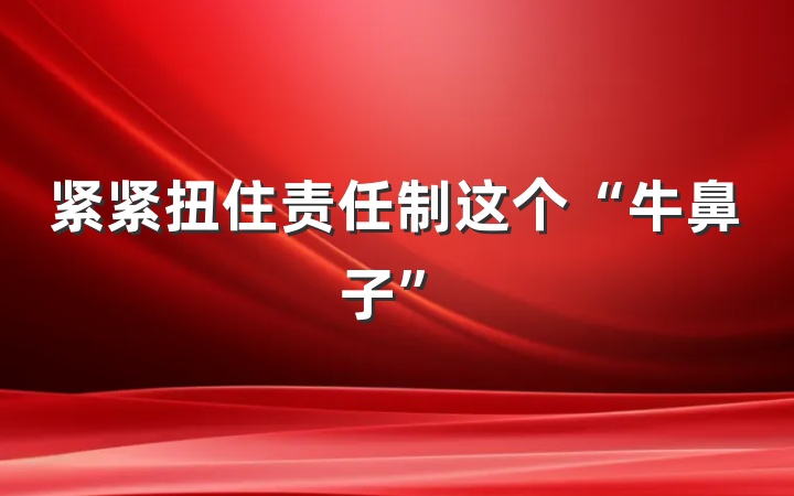 紧紧扭住责任制这个“牛鼻子”