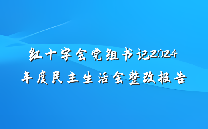 红十字会党组书记2024年度民主生活会整改报告