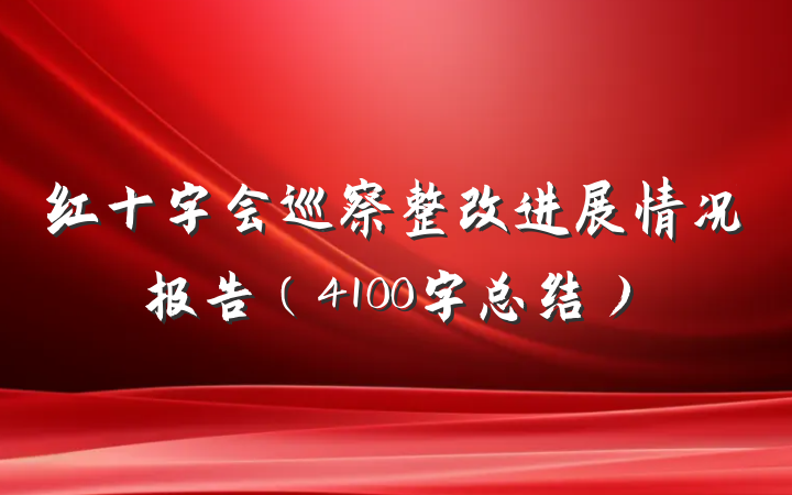 红十字会巡察整改进展情况报告（4100字总结）