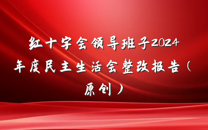 红十字会领导班子2024年度民主生活会整改报告（原创）