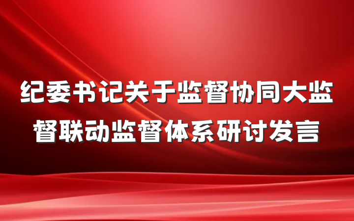 纪委书记关于监督协同大监督联动监督体系研讨发言