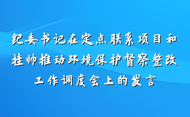 纪委书记在定点联系项目和挂帅推动环境保护督察整改工作调度会上的发言
