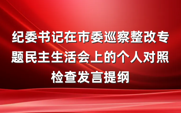 纪委书记在市委巡察整改专题民主生活会上的个人对照检查发言提纲