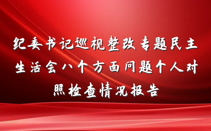 纪委书记巡视整改专题民主生活会八个方面问题个人对照检查情况报告