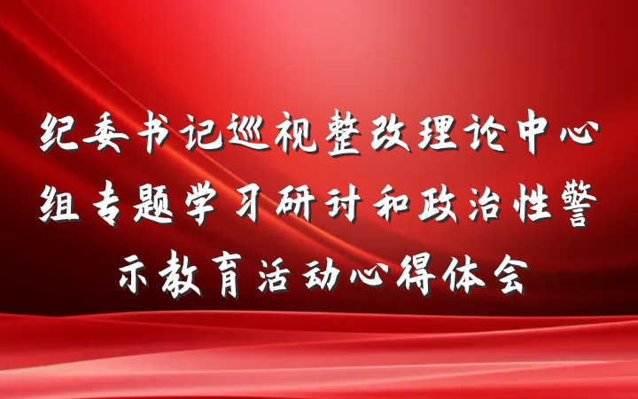 纪委书记巡视整改理论中心组专题学习研讨和政治性警示教育活动心得体会