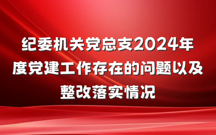 纪委机关党总支2024年度党建工作存在的问题以及整改落实情况