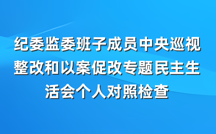 纪委监委班子成员中央巡视整改和以案促改专题民主生活会个人对照检查