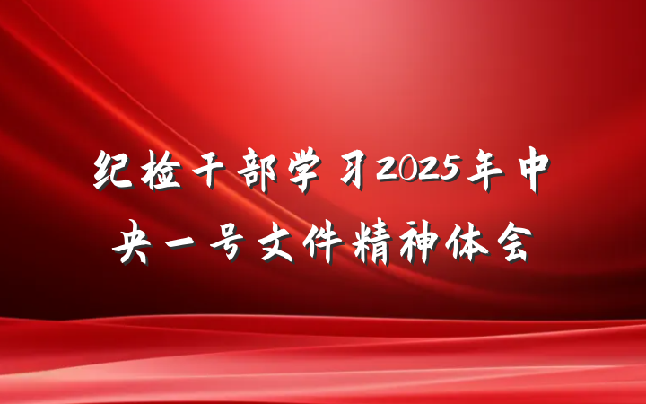 纪检干部学习2025年中央一号文件精神体会