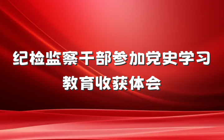 纪检监察干部参加党史学习教育收获体会