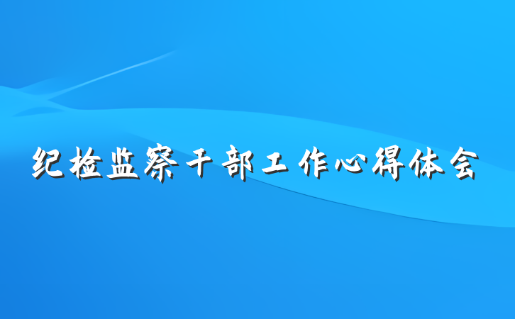 纪检监察干部工作心得体会