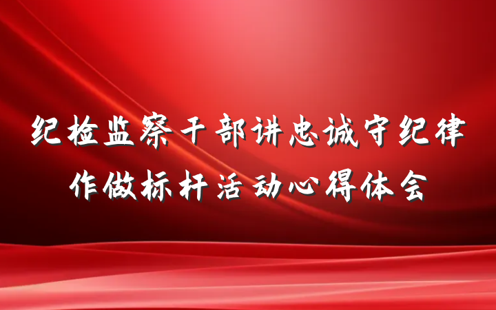 纪检监察干部讲忠诚守纪律作做标杆活动心得体会