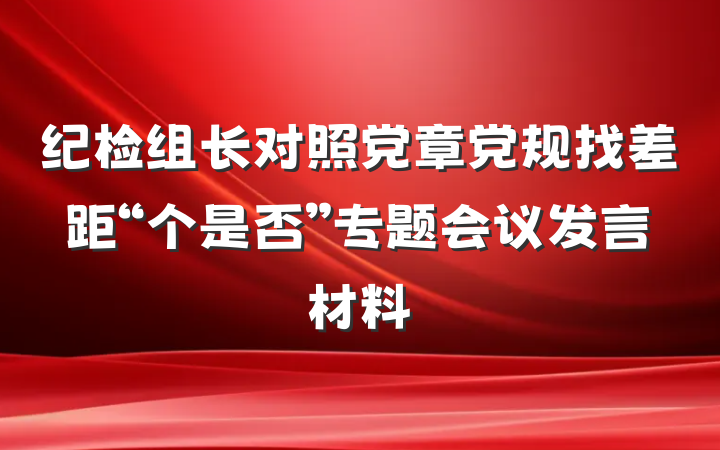 纪检组长对照党章党规找差距“个是否”专题会议发言材料