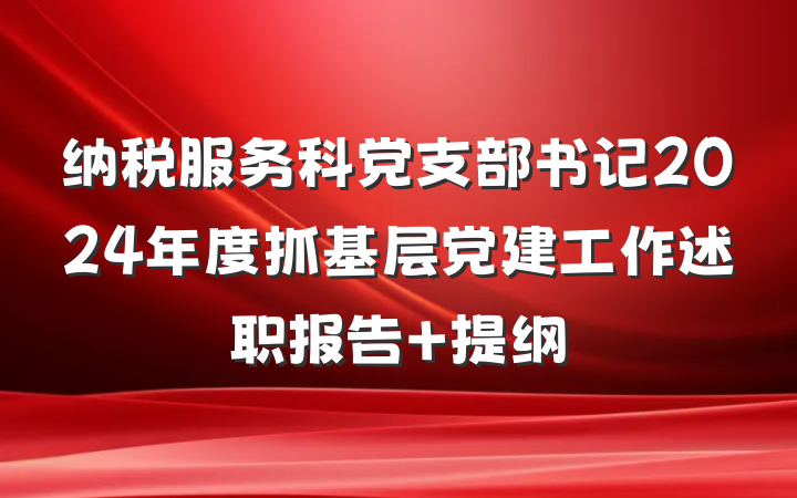 纳税服务科党支部书记2024年度抓基层党建工作述职报告 提纲