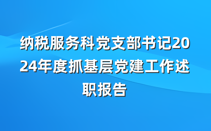 纳税服务科党支部书记2024年度抓基层党建工作述职报告