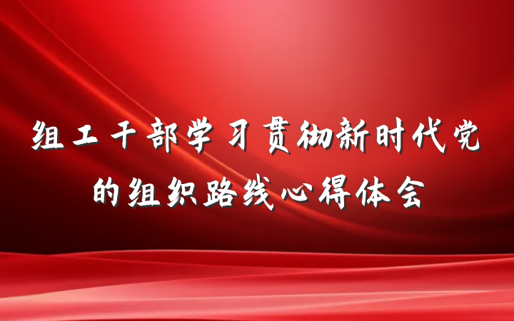 组工干部学习贯彻新时代党的组织路线心得体会