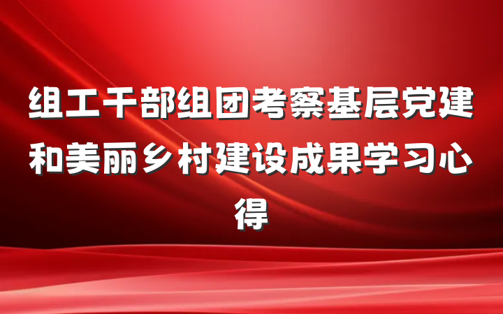 组工干部组团考察基层党建和美丽乡村建设成果学习心得