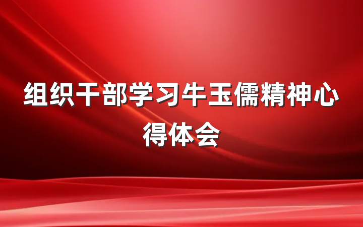 组织干部学习牛玉儒精神心得体会
