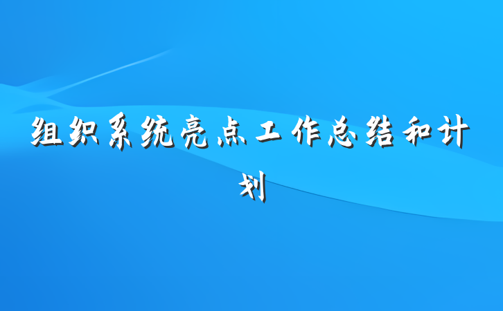 组织系统亮点工作总结和计划