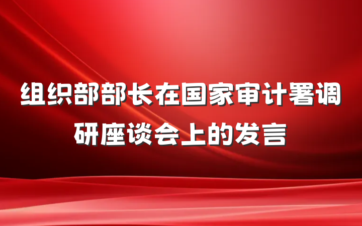 组织部部长在国家审计署调研座谈会上的发言