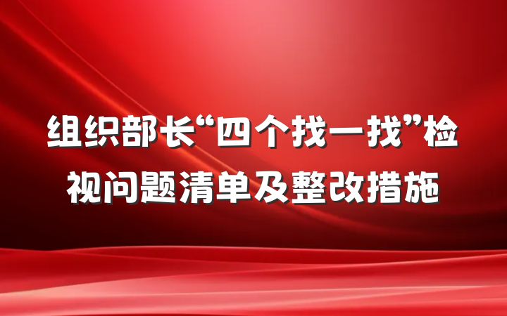 组织部长“四个找一找”检视问题清单及整改措施