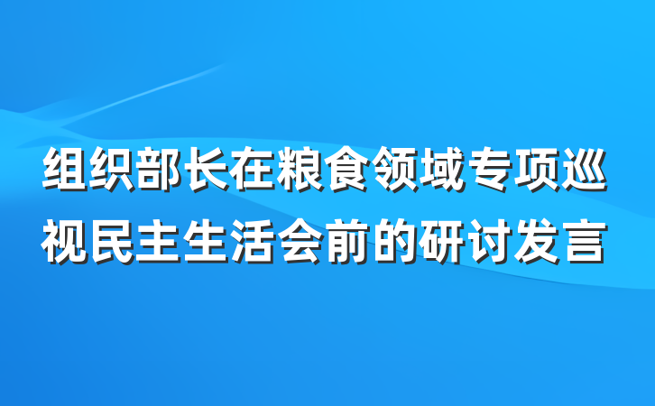 组织部长在粮食领域专项巡视民主生活会前的研讨发言