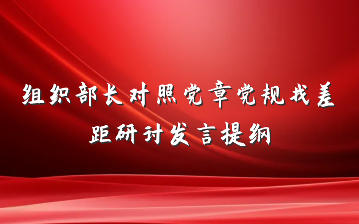 组织部长对照党章党规找差距研讨发言提纲