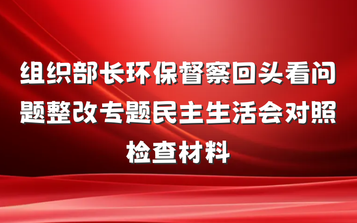 组织部长环保督察回头看问题整改专题民主生活会对照检查材料