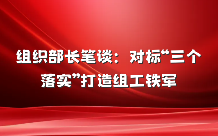 组织部长笔谈：对标“三个落实”打造组工铁军
