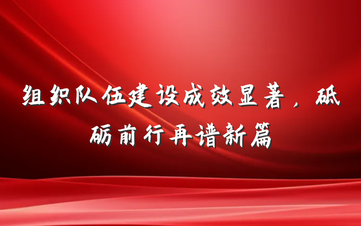 组织队伍建设成效显著，砥砺前行再谱新篇