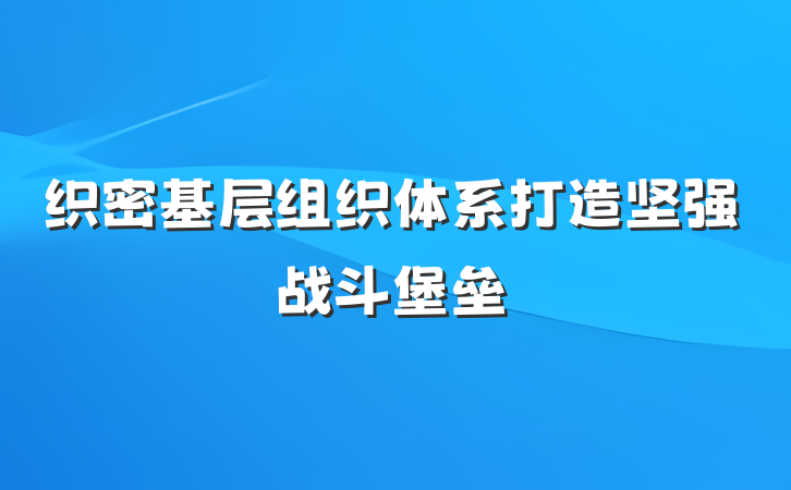 织密基层组织体系打造坚强战斗堡垒