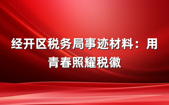 经开区税务局事迹材料：用青春照耀税徽