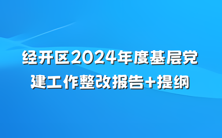 经开区2024年度基层党建工作整改报告 提纲
