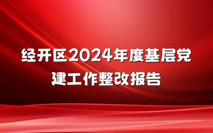 经开区2024年度基层党建工作整改报告